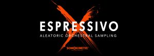 sonokinetic espressivo aleatoric orchestral effects and phrases