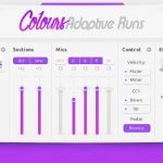Adaptive Runs project sam interface